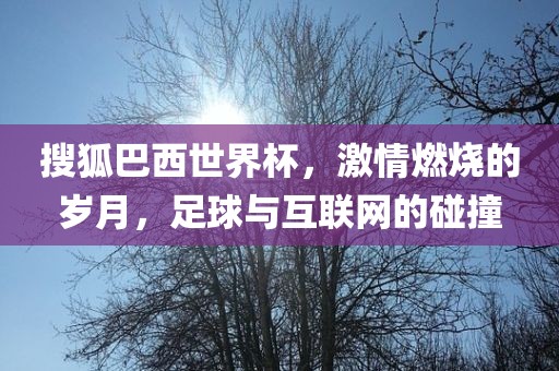 搜狐巴西世界杯，激情燃烧的岁月，足球与互联网的碰撞