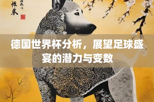 德国世界杯分析，展望足球盛宴的潜力与变数