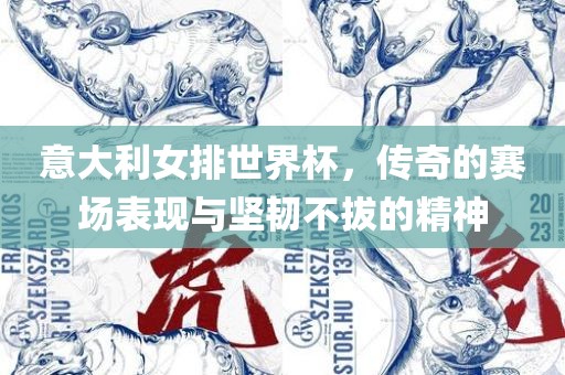 意大利女排世界杯，传奇的赛场表现与坚韧不拔的精神