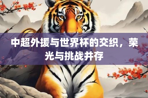 中超外援与世界杯的交织，荣光与挑战并存