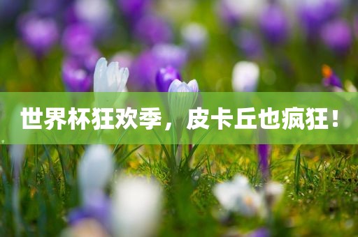 世界杯狂欢季，皮卡丘也疯狂！