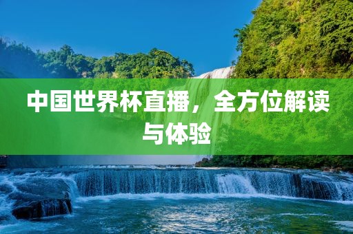 中国世界杯直播，全方位解读与体验眉山市正发家政服务有限公司