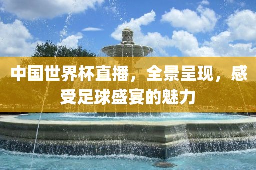 中国世界杯直播，全景呈现，感受足球盛宴的魅力眉山市正发家政服务有限公司