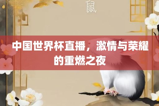 中国世界杯眉山市正发家政服务有限公司直播，激情与荣耀的重燃之夜
