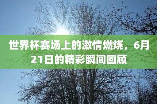 世界杯赛场上的激情燃烧，6月21日的精彩瞬间回顾