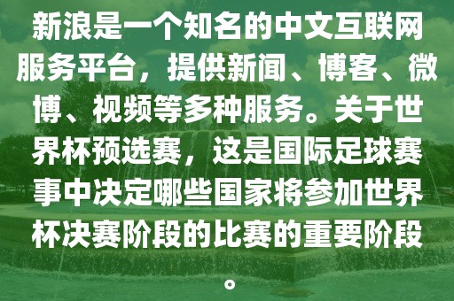 新浪是一个知名的中文互联网服务平台，提供新闻、博客、微博、视频等多种服务。关于世界杯预选赛，这是国际足球赛事中决定哪些国家将参加世界杯决赛阶段的比赛的重要阶段。