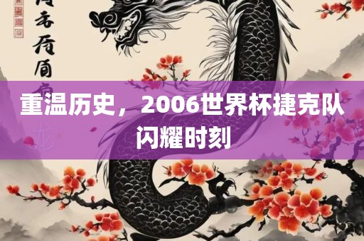 重温历史，2006世界杯捷克队闪耀时刻
