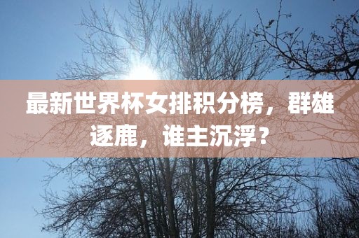 最新世界杯女排积分榜，群雄逐鹿，谁主沉浮？