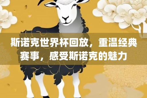 斯诺克世界杯回放，重温经典赛事，感受斯诺克的魅力