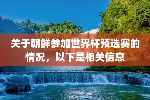 关于朝鲜参加世界杯预选赛的情况，以下是相关信息
