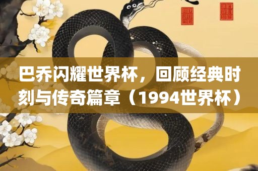 巴乔闪耀世界杯，回顾经典时刻与传奇篇章（1994世界杯）