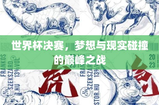 世界杯决赛，梦想与现实碰撞的巅峰之战眉山市正发家政服务有限公司
