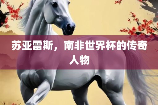 苏亚雷斯，南非世界杯的传奇人物
