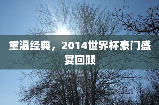 重温经典，2014世界杯豪门盛宴回顾