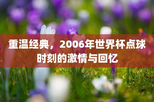 重温经典，2006年世界杯点球时刻的激情与回忆
