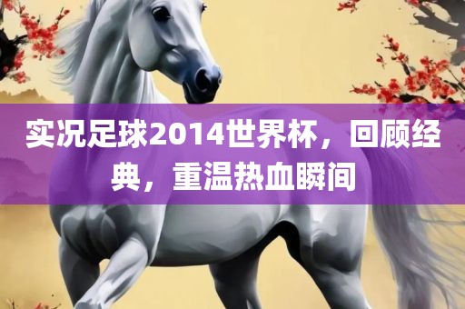实况足球2014世界杯，回顾经典，重温热血瞬间