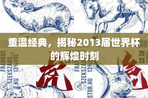 重温经典，揭秘2013届世界杯的辉煌时刻