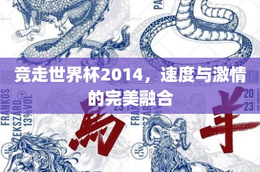 竞走世界杯2014，速度与激情的完美融合