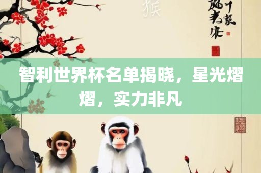 智利世界杯名单揭晓，星光熠熠，实力非凡