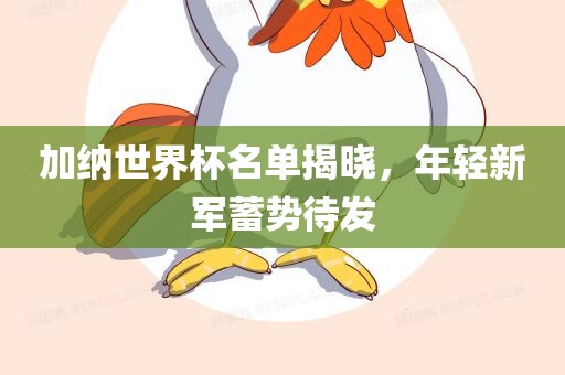 加纳世界杯名单揭晓，年轻新军蓄势待发