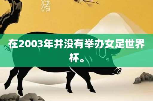 在2003年并没有举办女足世界杯。