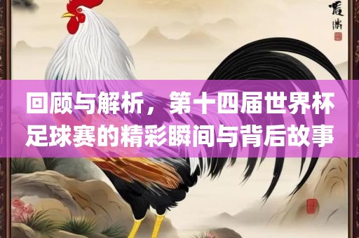 回顾与解析，第十四届世界杯足球赛的精彩瞬间与背后故事