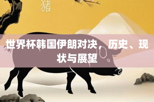 世界杯韩国伊朗对决，历史、现状与展望
