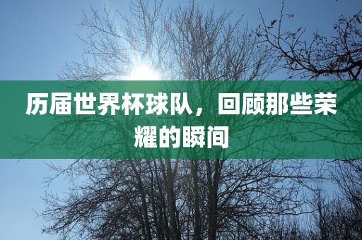 历届世界杯球队，回顾那些荣耀的瞬间