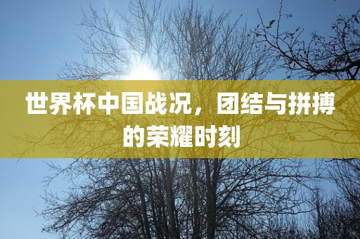 世界杯中国战况，团结与拼搏的荣耀时刻