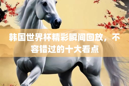 韩国世界杯精彩瞬间回放，不容错过的十大看点