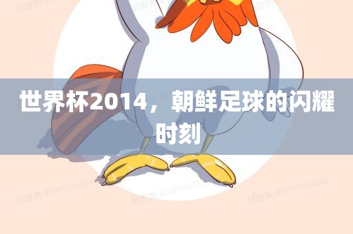 世界杯2014，朝鲜足球的闪耀时刻