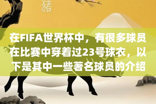 在FIFA世界杯中，有很多球员在比赛中穿着过23号球衣，以下是其中一些著名球员的介绍