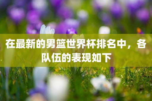 在最新的男篮世界杯排名中，各队伍的表现如下