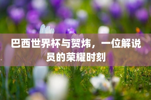 巴西世界杯与贺炜，一位解说员的荣耀时刻