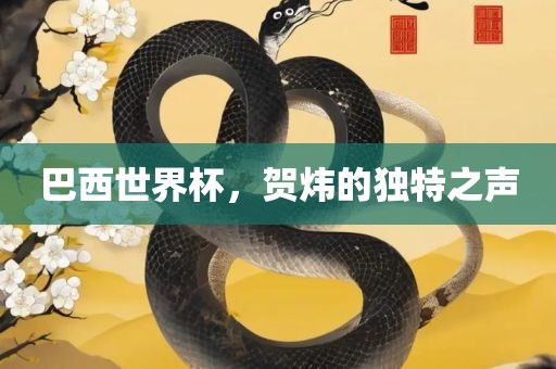 巴西世界杯，贺炜的独特之声