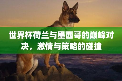世界杯荷兰与墨西哥的巅峰对决，激情与策略的碰撞