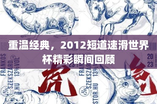 重温经典，2012短道速滑世界杯精彩瞬间回顾