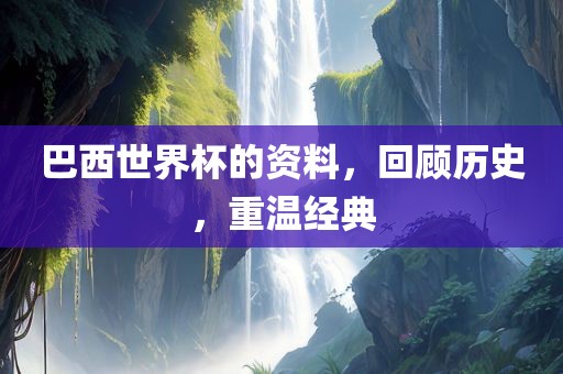 巴西世界杯的资料，回顾历史，重温经典