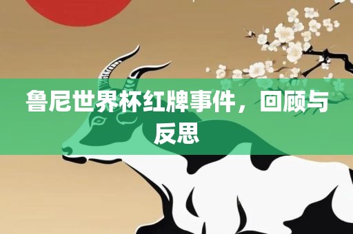 鲁尼世界杯红牌事件，回顾与反思