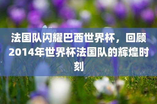 法国队闪耀巴西世界杯，回顾2014年世界杯法国队的辉煌时刻