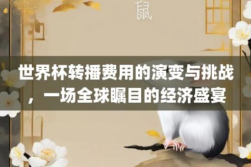 世界杯转播费用的演变与挑战，一场全球瞩目的经济盛宴