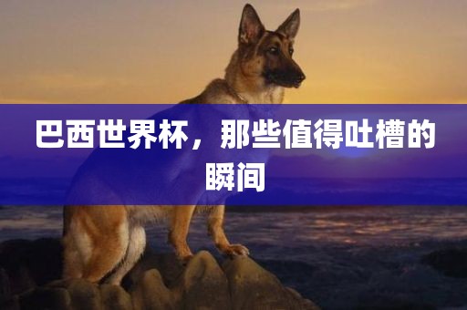 巴西世界杯，那些值得吐槽的瞬间