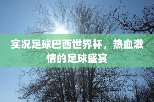 实况足球巴西世界杯，热血激情的足球盛宴