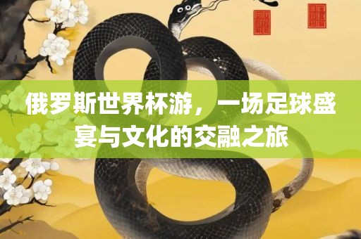 俄罗斯世界杯游，一场足球盛宴与文化的交融之旅