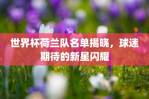 世界杯荷兰队名单揭晓，球迷期待的新星闪耀
