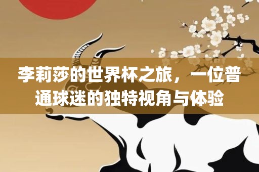 李莉莎的世界杯之旅，一位普通球迷的独特视角与体验