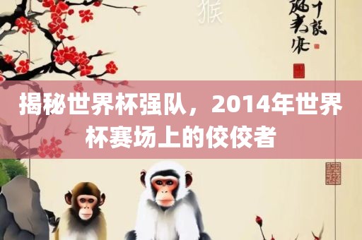 揭秘世界杯强队，2014年世界杯赛场上的佼佼者