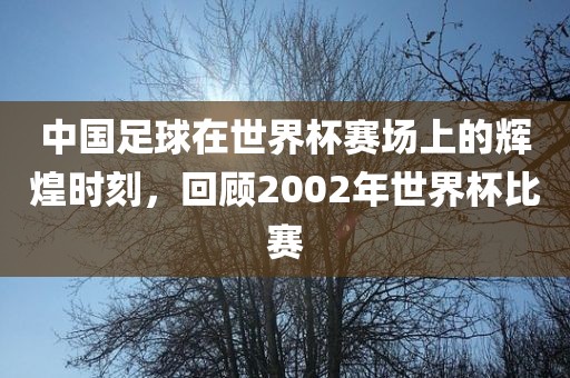 中国足球在世界杯赛场上的辉煌时刻，回顾2002年世界杯比赛