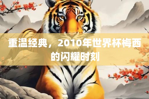 重温经典，2010年世界杯梅西的闪耀时刻