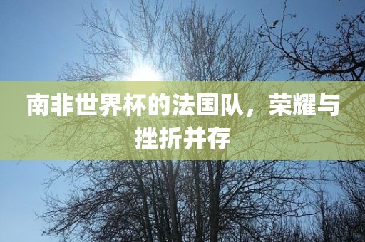 南非世界杯的法国队，荣耀与挫折并存